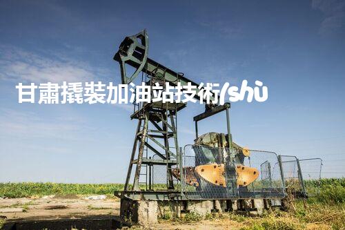 甘肅撬裝加油站技術(shù)革新：探索以后化工廠拆除的創(chuàng)新處理方案！